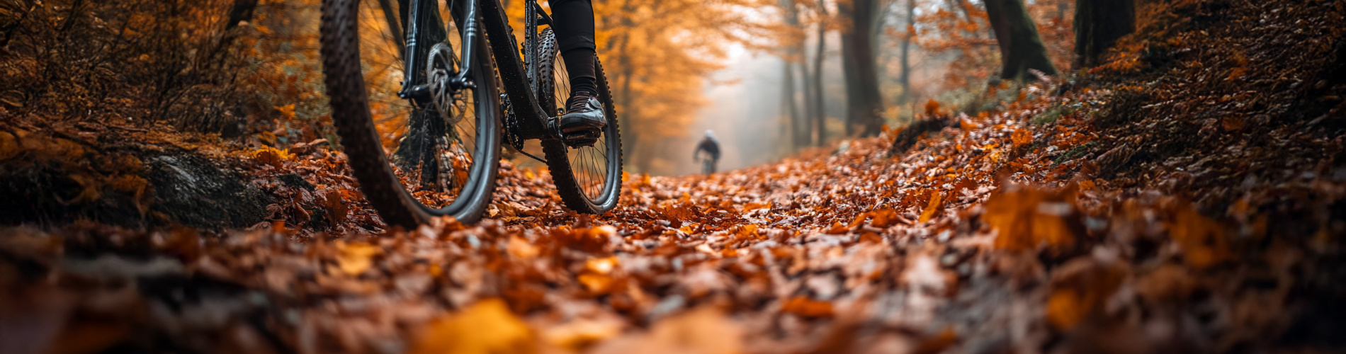 CycleStation Schaijk