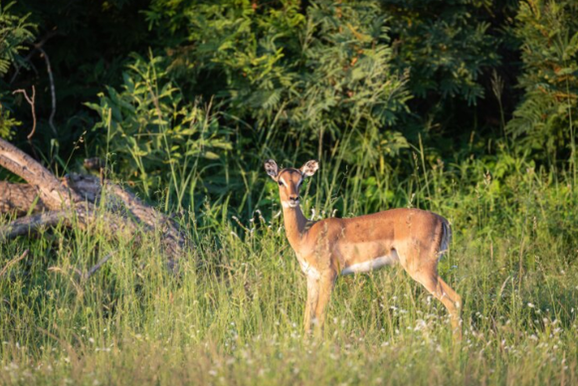 CycleStation Schaijk